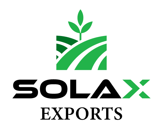 World Market Exporter Logo